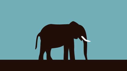 Lorem Ipsum - TinyIMG Smart Image Optimizeris [main testing]